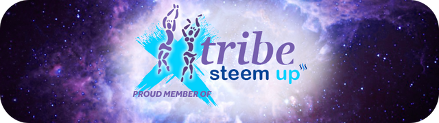 tribe-steemup-banner3.png