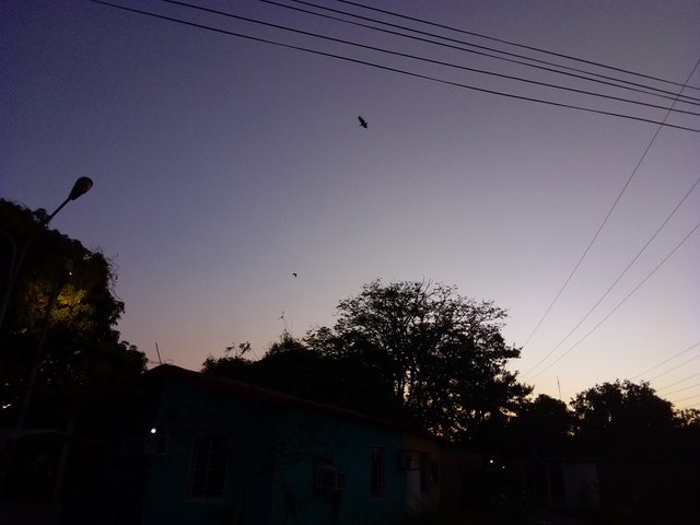 1000178747.jpg