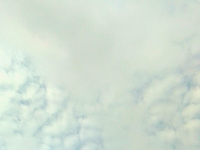 IMG_20241204_073418_806.jpg