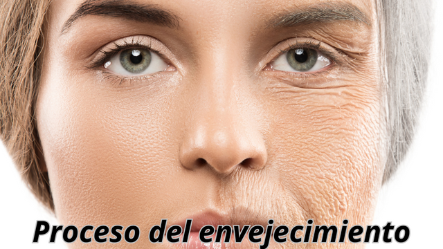 La ciencia del envejecimiento (2).png