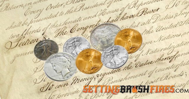 setting-brushfires-constitutional-money.jpg