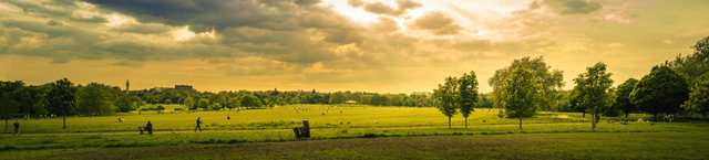 agriculture-beautiful-view-city-park-1080722.jpg