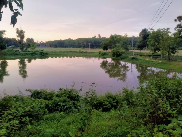 IMG20250701182726.jpg