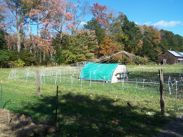 Netting around circus tent crop Oct. 2018.jpg