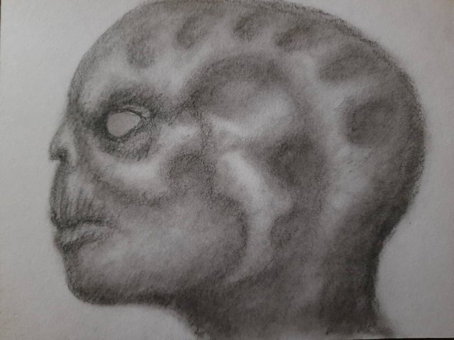 20250602_111831.jpg