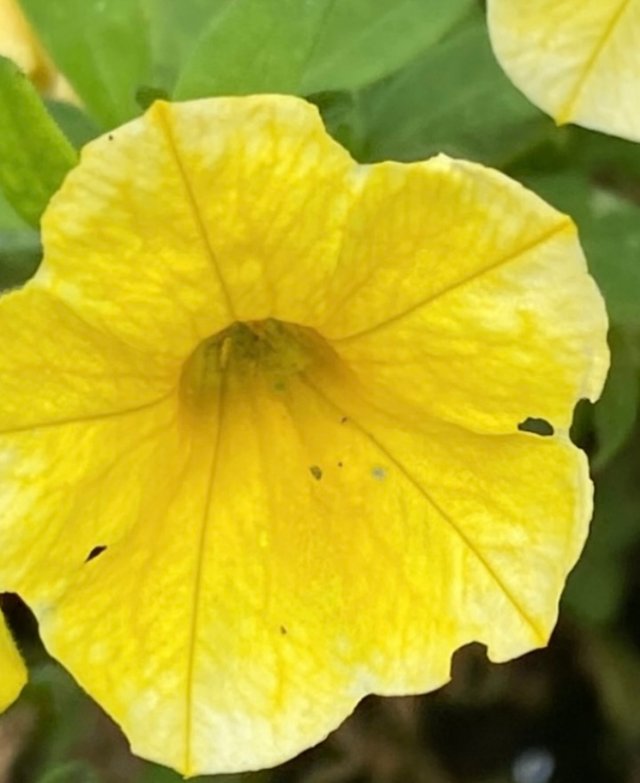 IMG_4736.jpeg