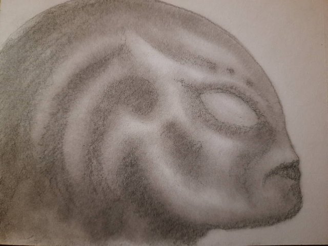 20250508_110813.jpg