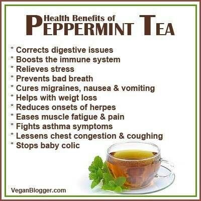 Peppermint tea health benefits