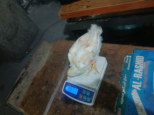 IMG20250529125803.jpg