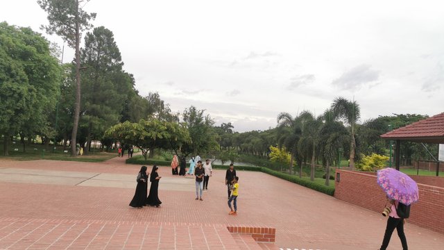 IMG_20240526_165850.jpg
