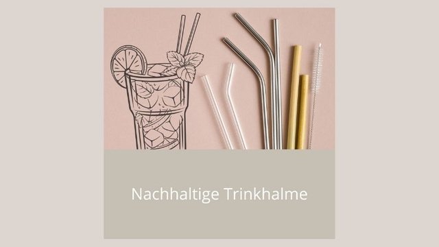 Nachhaltige Trinkhalme web.jpg