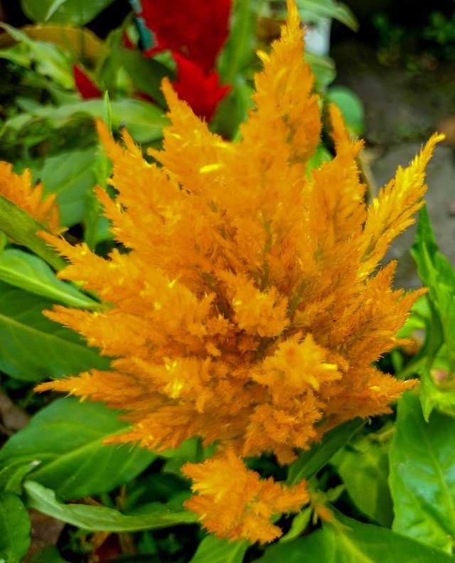 IMG20250116134917.jpg