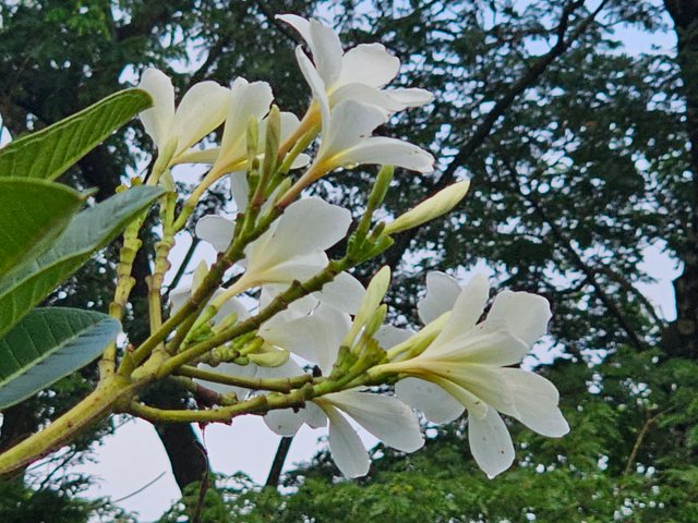 20250621_162322.jpg