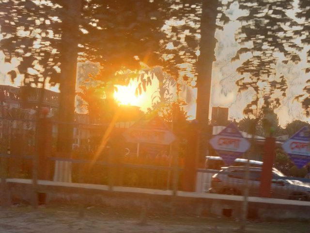 IMG_20250218_172803.jpg