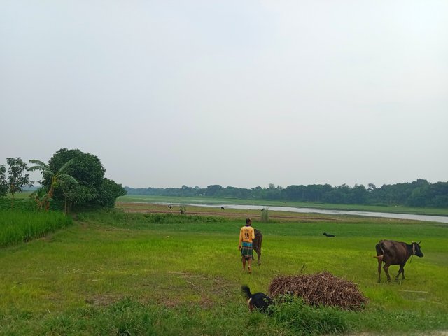 IMG_20250803_063812.jpg