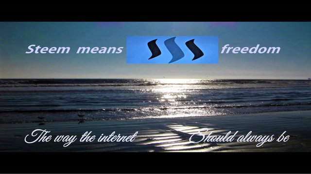 Steem means freedom for all.jpg