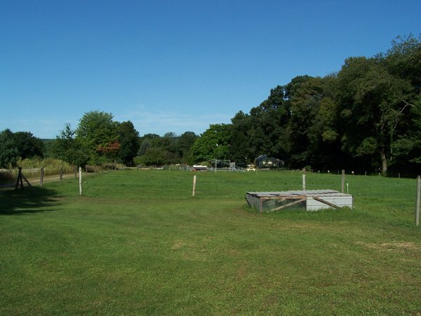 Middle Pasture1 crop  August 08.jpg