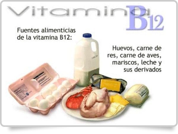 07_vitamina_b12.jpg