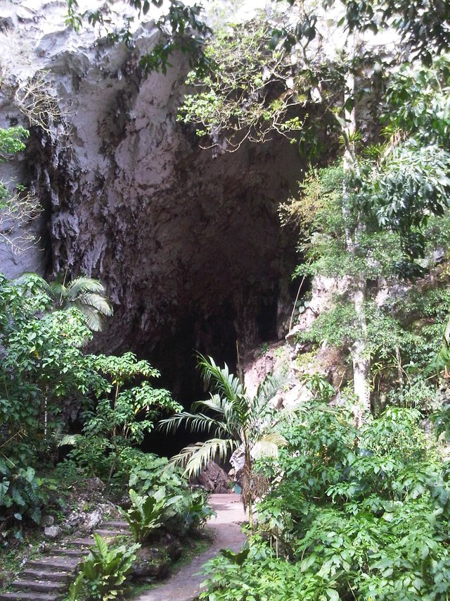 La_Cueva_del_Guacharo.jpg