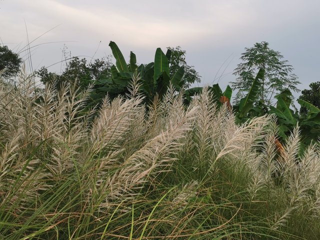 IMG_20240912_175701.jpg
