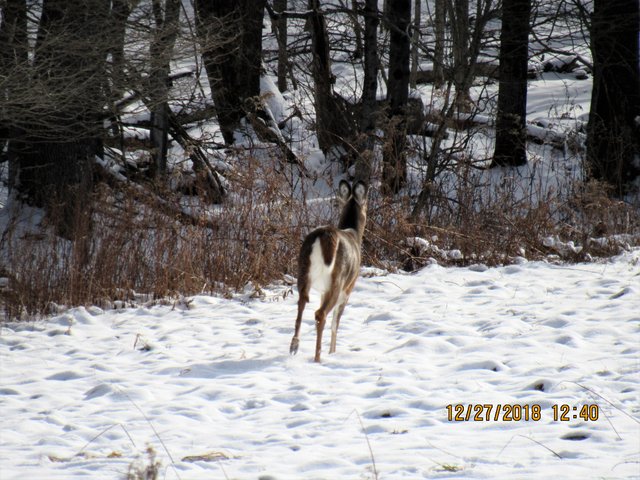 IMG_0167.JPG
