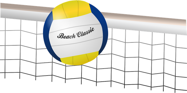 volleyball-155950_1280.png