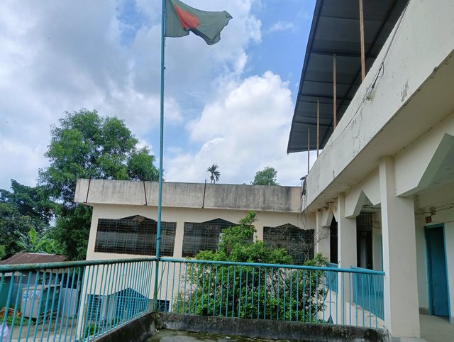 IMG20250729110917.jpg