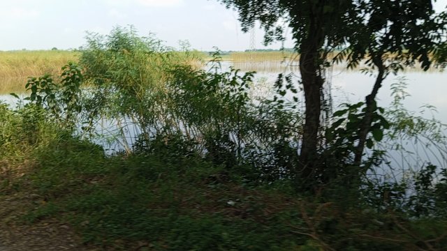 IMG_20240918_102217_5.jpg