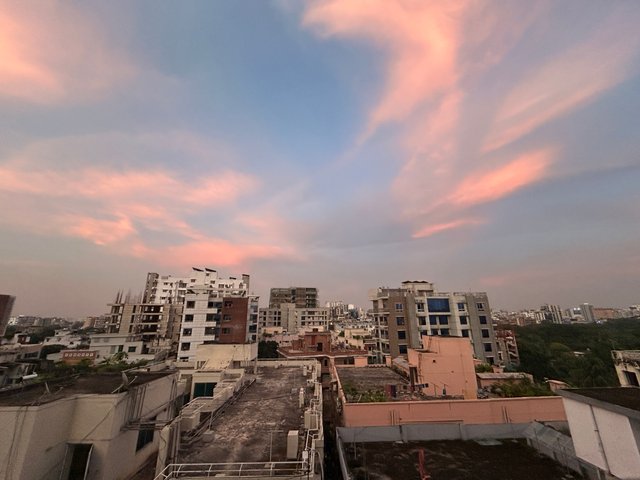 IMG_1598.jpeg