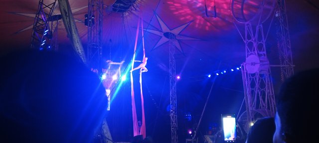 IMG_20250612_201316_047.jpg