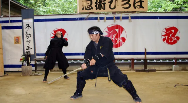 iga-ninja.webp