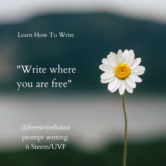 free writing 15 steem(1).jpg