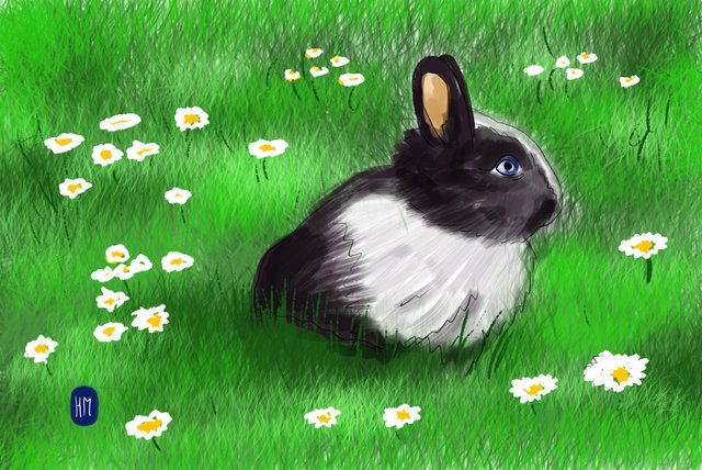 rabbit(462).jpg