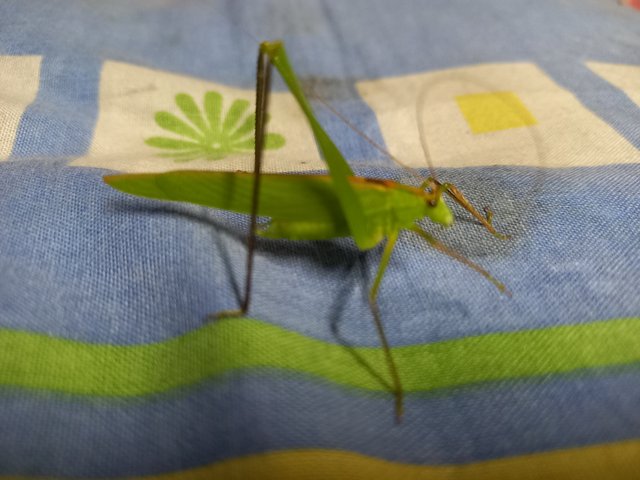 20221003_184928.jpg