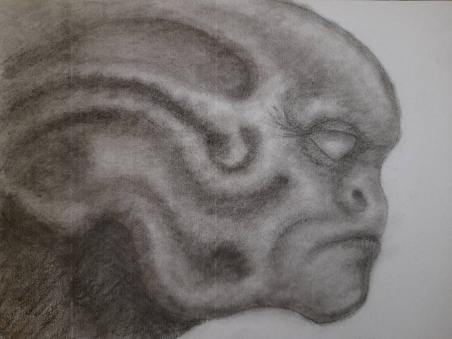 20250625_111541.jpg