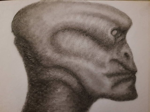 20250606_111902.jpg