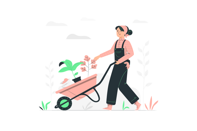 Gardening gifts for mom.png