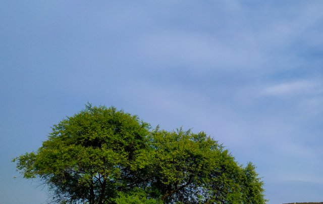 IMG_20210523_170152 (1).jpg