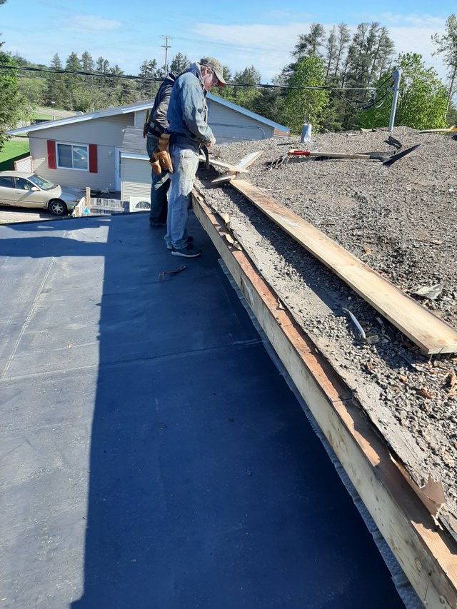 roof  (4).jpg