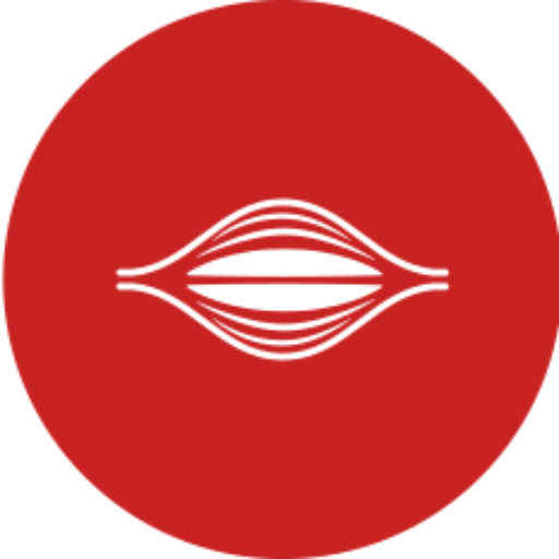 cropped-Logo-without-background-or-margins.png