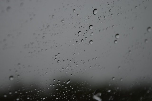 drops-3609552_1280.jpg