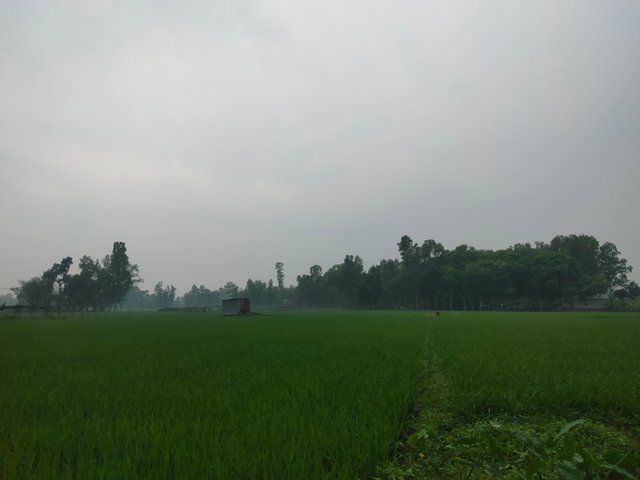 IMG20250321153353.jpg