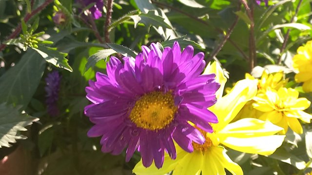 IMG-20250616-WA0013.jpg