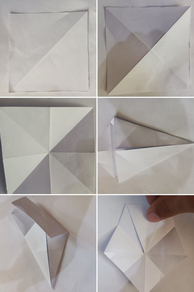 20250721_172920-COLLAGE.jpg