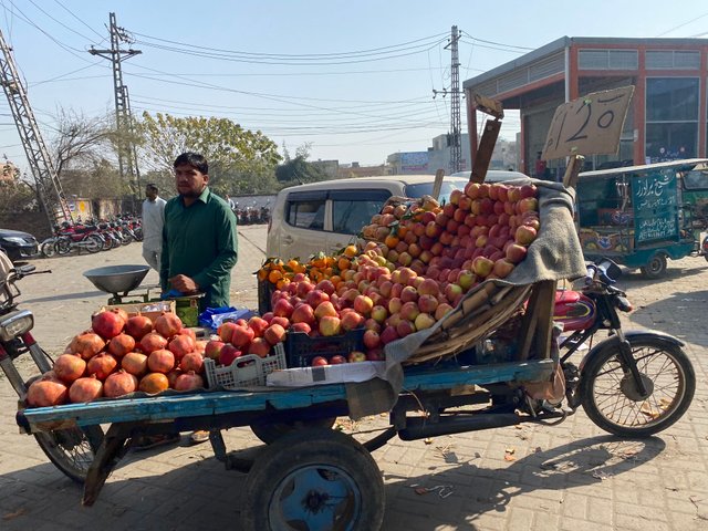 fruit vendor.jpeg