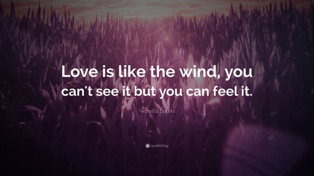 5905-Nicholas-Sparks-Quote-Love-is-like-the-wind-you-can-t-see-it-but.jpg