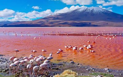 Laguna-Colorada-Salar-de-Uyuni.jpg