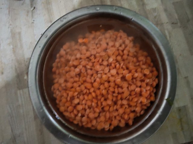 3906.jpg
