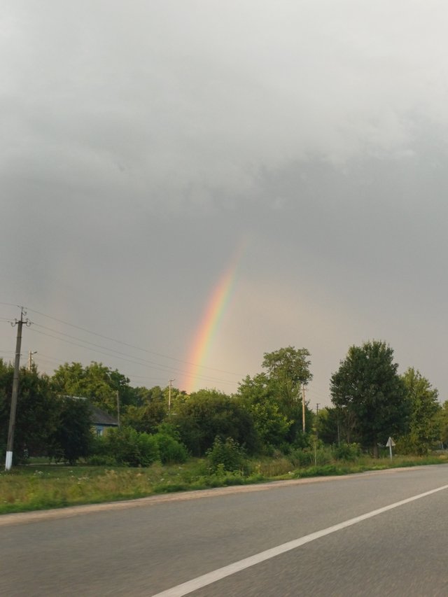 20250725_060245.jpg