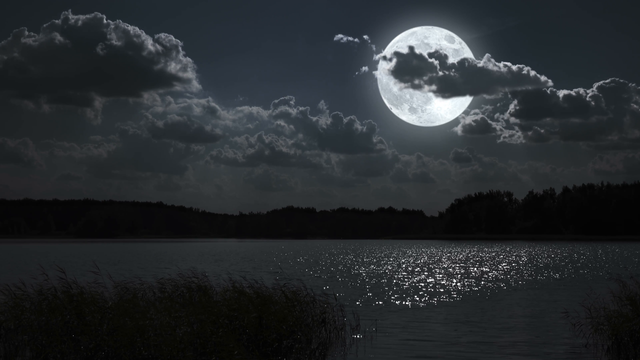 full-moon-night-landscape-with-forest-lake_e1ljf2zn0__F0000.png